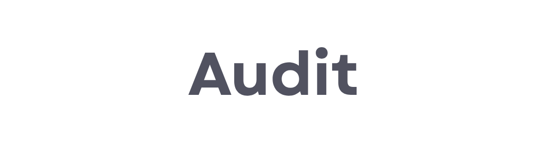 Audit